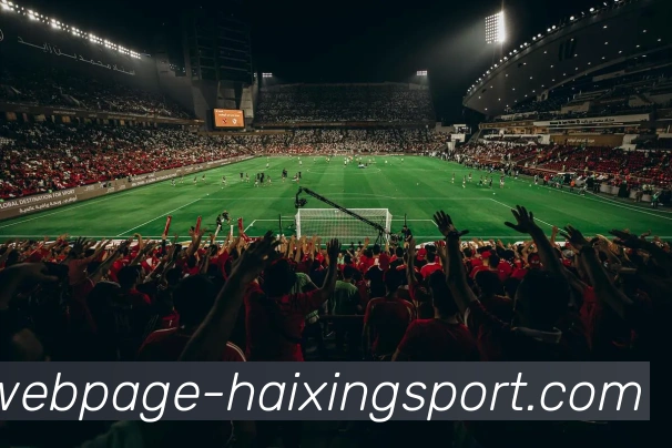 海星体育平台生态图